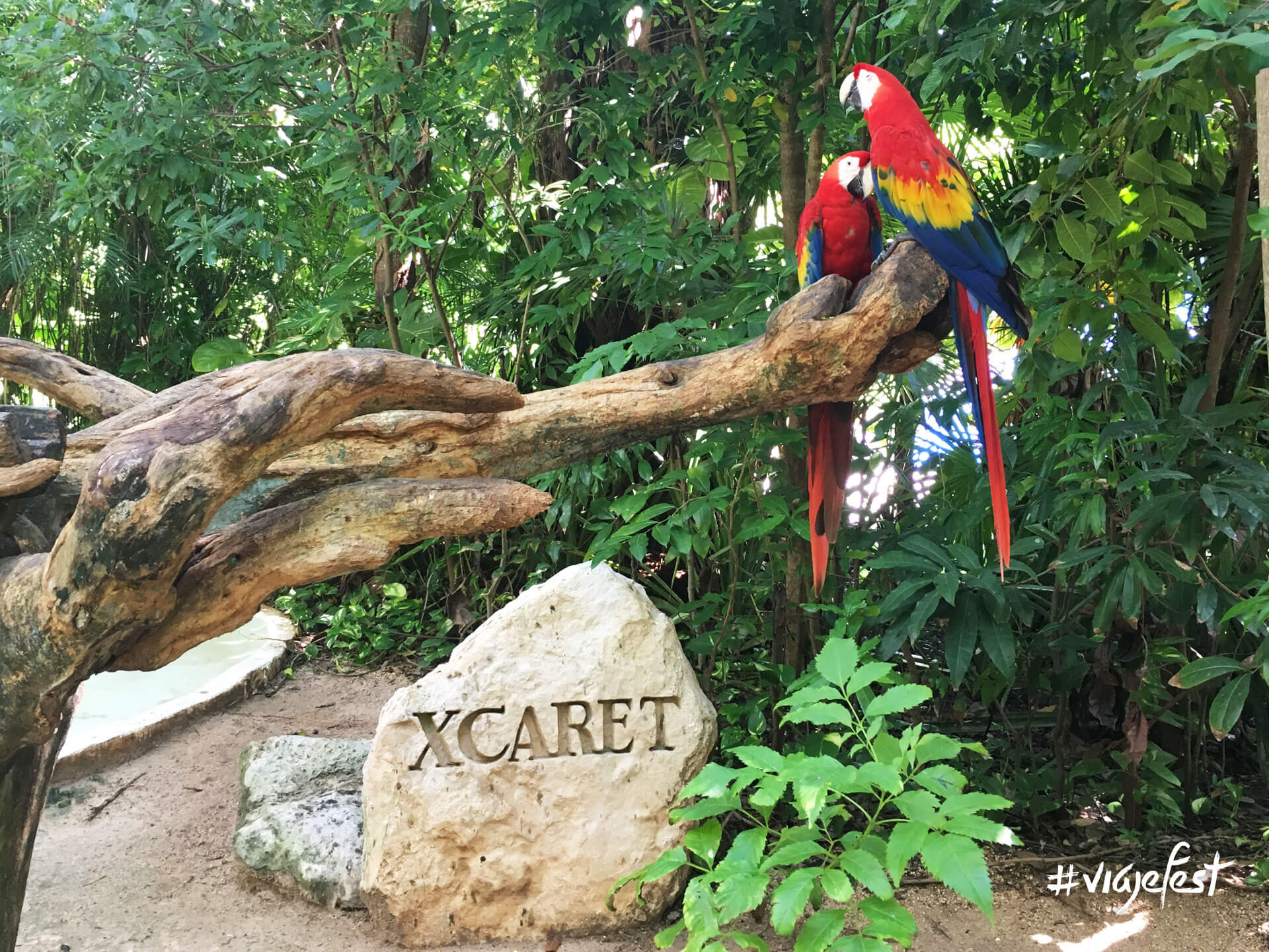 Xcaret, Playa del Carmen