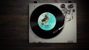 Musica-Bacalar-300x169.png