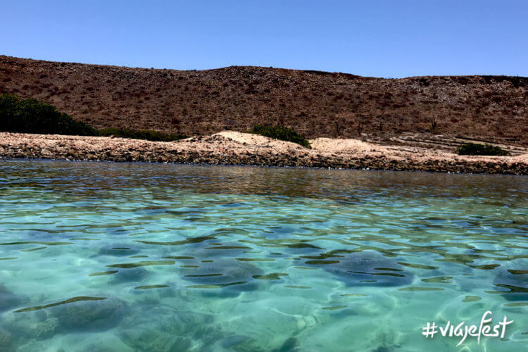 Isla Espíritu Santo, Baja California Sur