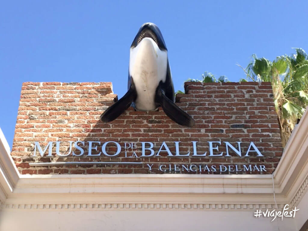 Museo de la Ballena