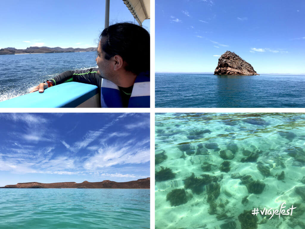 Paseo a la Isla Espíritu Santo, Baja California Sur