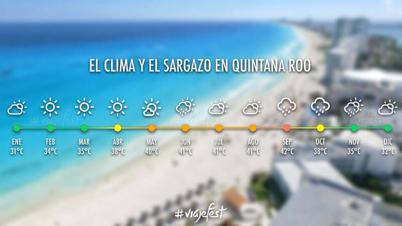 Cuándo es la temporada de sargazo en Quintana Roo