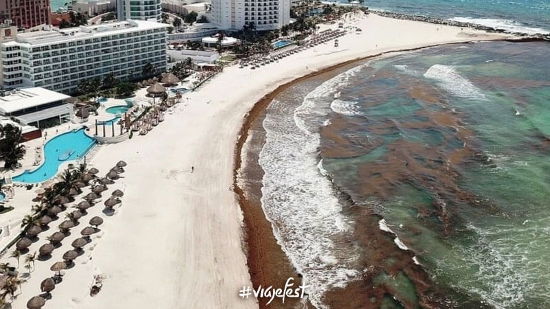 Sargazo en Playa Gaviota Azul