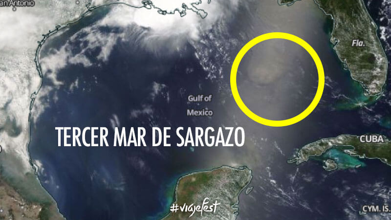 Tercer mar de sargazo