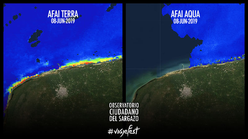 Diferencias entre ambos Índices Alternativos de Algas Flotantes el 8 de junio del 2019