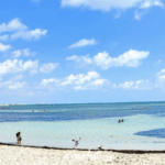 Playa Las P