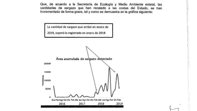 "La cantidad de sargazo que arribó en enero de 2019, superó lo registrado en enero de 2018"