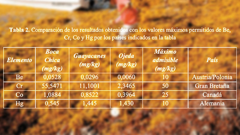 Se detectaron concentraciones ligeramente elevadas de mercurio en el sargazo.