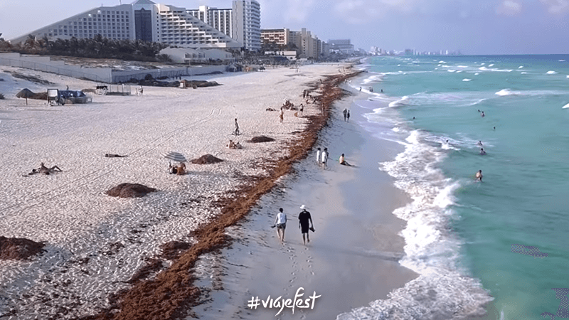 Playa Delfines, una de las mejores playas en Cancún con sargazo